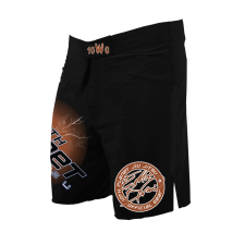 10th Planet Ranked Shorts Brown