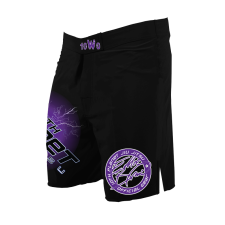 10th Planet Ranked Shorts Purple